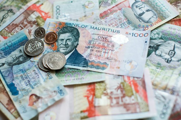 How Can You Create an Indoor Green Wall for a Fresh Air Oasis?